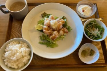 岡山総社『中華kinomi』四川麻婆豆腐と海老マヨでご飯おかわりランチ！