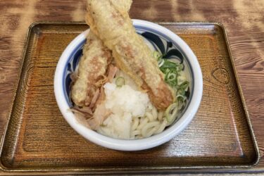 定食に天ぷら！岡山県総社市の美味しいうどん屋ランキング！