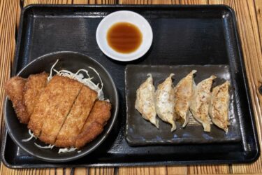 岡山市野田『麺屋はやたろう』信州名物ソースカツ丼と浜松餃子ランチ！