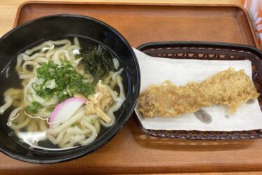 香川県善通寺『香川家』ちぢれ麺のちくわ天うどんと玉子焼き！