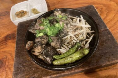 岡山居酒屋『ごろ兵衛』大山鶏の炭焼きとあご出汁おでんで飲み放題！